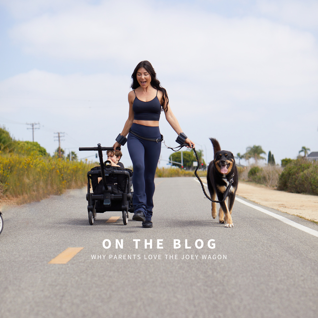 Why Parents Love the Joey Stroller Wagon: "It's a mini Cadillac!"