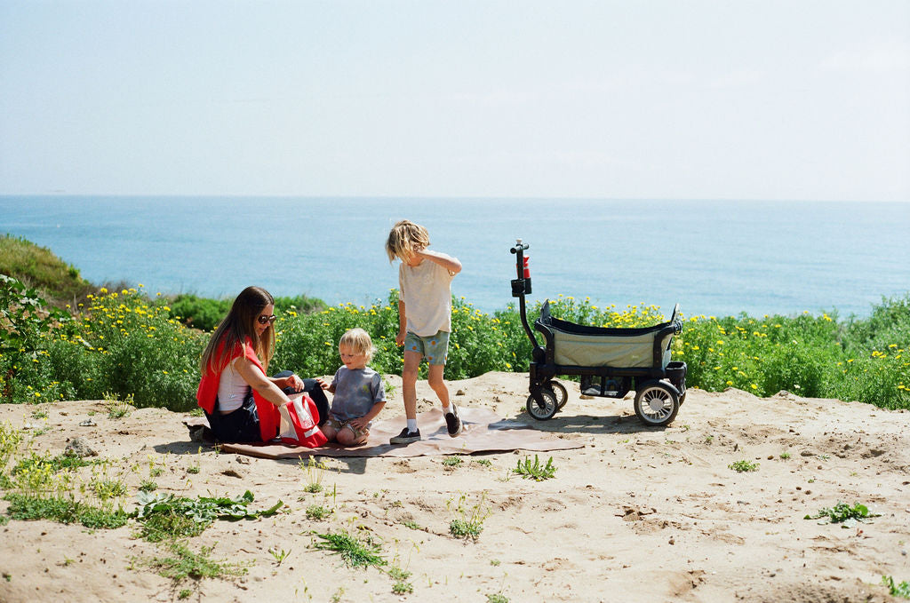 beach stroller wagon for kids The Wagon (2 Canopy Bundle)
