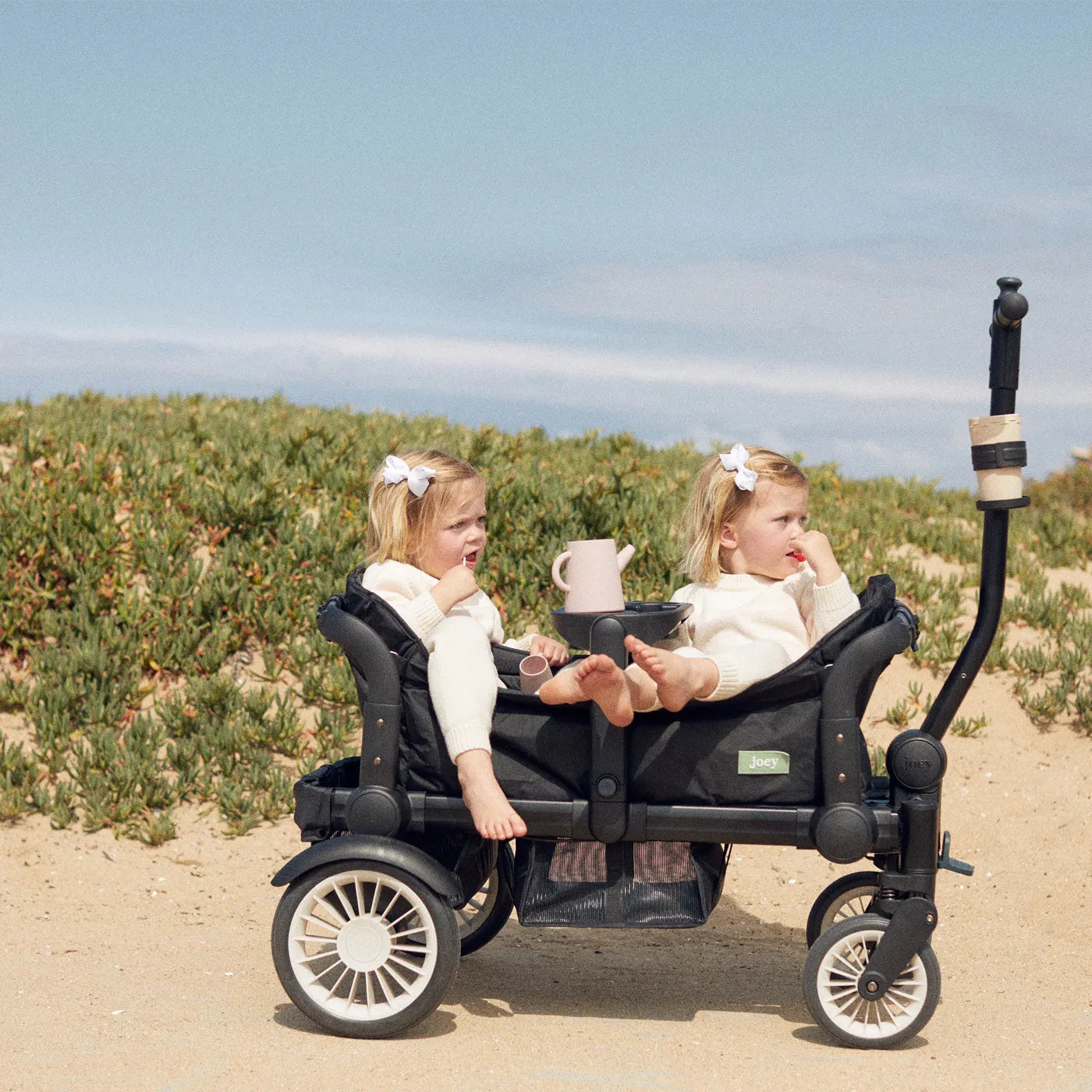 stroller wagon for kids Stroller Wagon for Kids and Toddlers